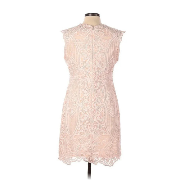 Reiss Roxanda Lace Bodycon Pink Dress 10 NWT $465 - Picture 2 of 11